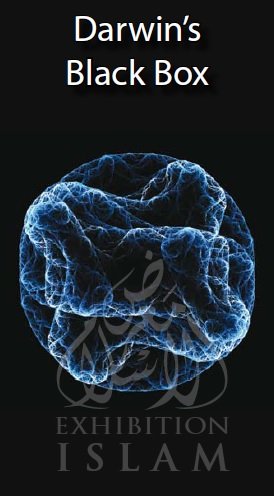 Darwin's Black Box (Leaflet)