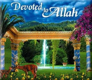 Der Islam ist die Religion des Friedens