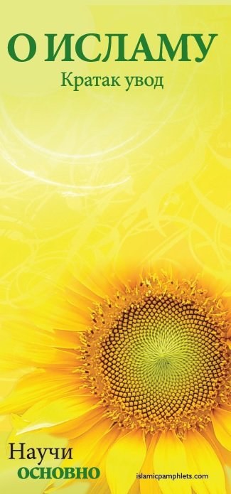 О исламу