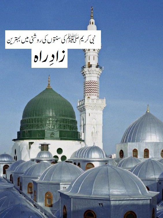 نبي كريم صلى الله عليه وسلم  كی سنتوں  كي روشنی ميی بيترين
زادِ راه
