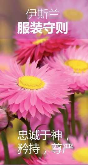 盖头–谦虚，尊严