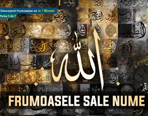 FRUMOASELE SALE NUME