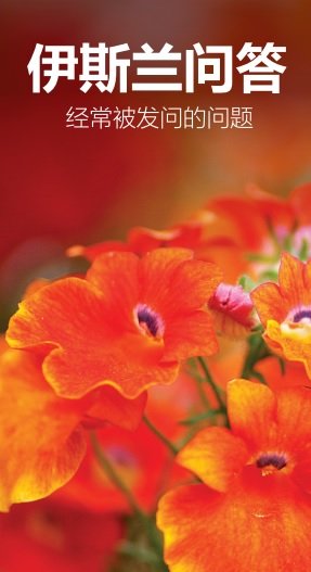 伊斯兰教义问答