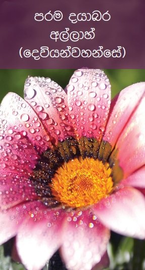 අල්ලාහ්ගේ දයාව (දෙවියන්ගේ)