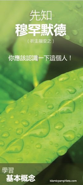 先矢口 穆罕默德  ( 祈主福安之 ) 你應該認識一下這個人 ！
