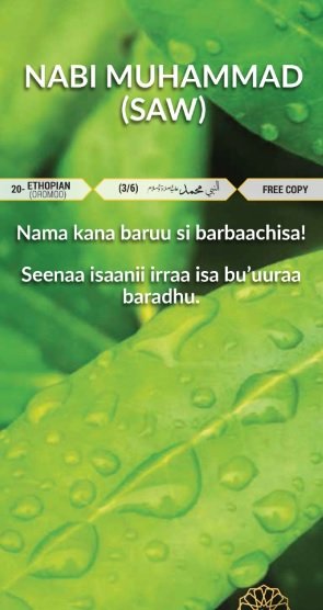 NABI MUHAMMAD (SAW) – Nama kana baruu si barbaachisa! Seenaa isaanii irraa isa bu'uuraa baradhu