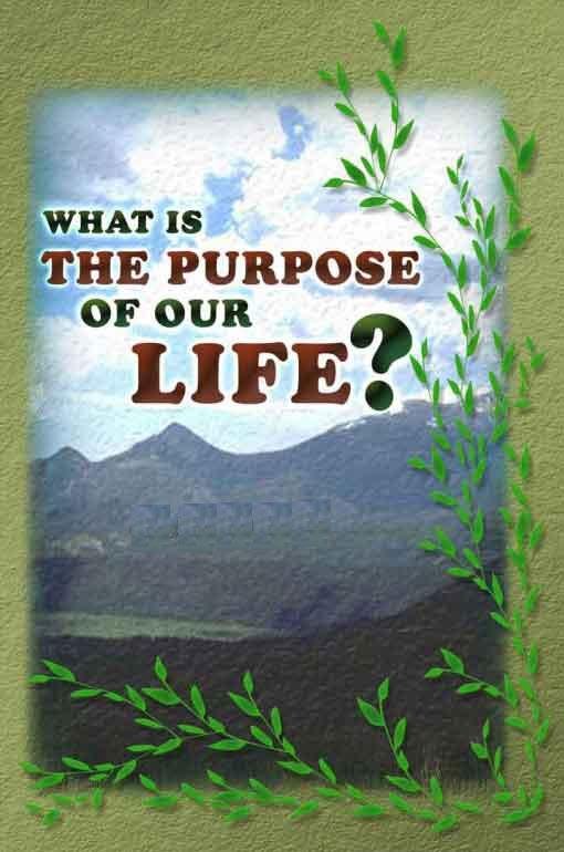 What is the Purpose of our  Life?