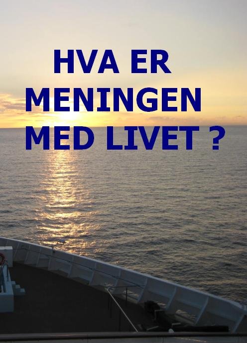 HVA ER MENINGEN MED LIVET?