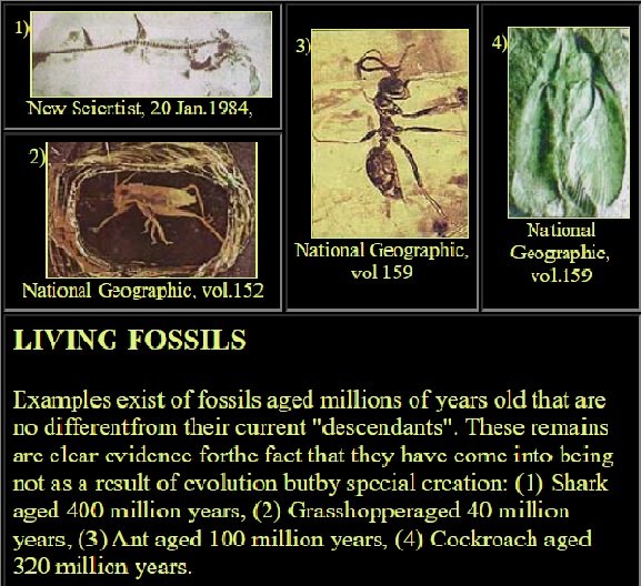 The fossil record refutes evolution