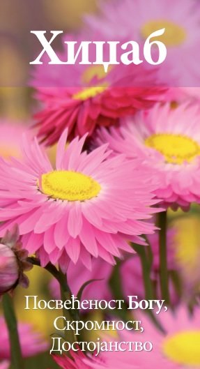 Хиџаб - покорност Богу, Скромност, Достојанство