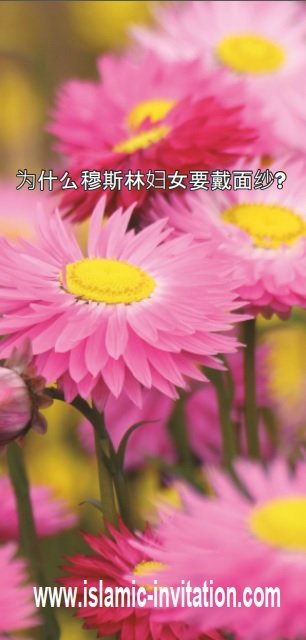 为什么穆斯林妇女要戴面纱?（传单）  