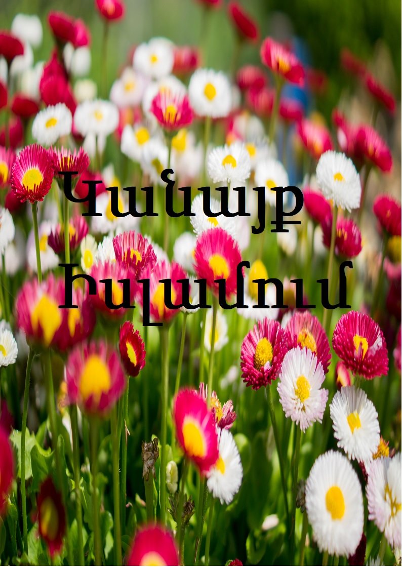 Կանայք Իսլամում